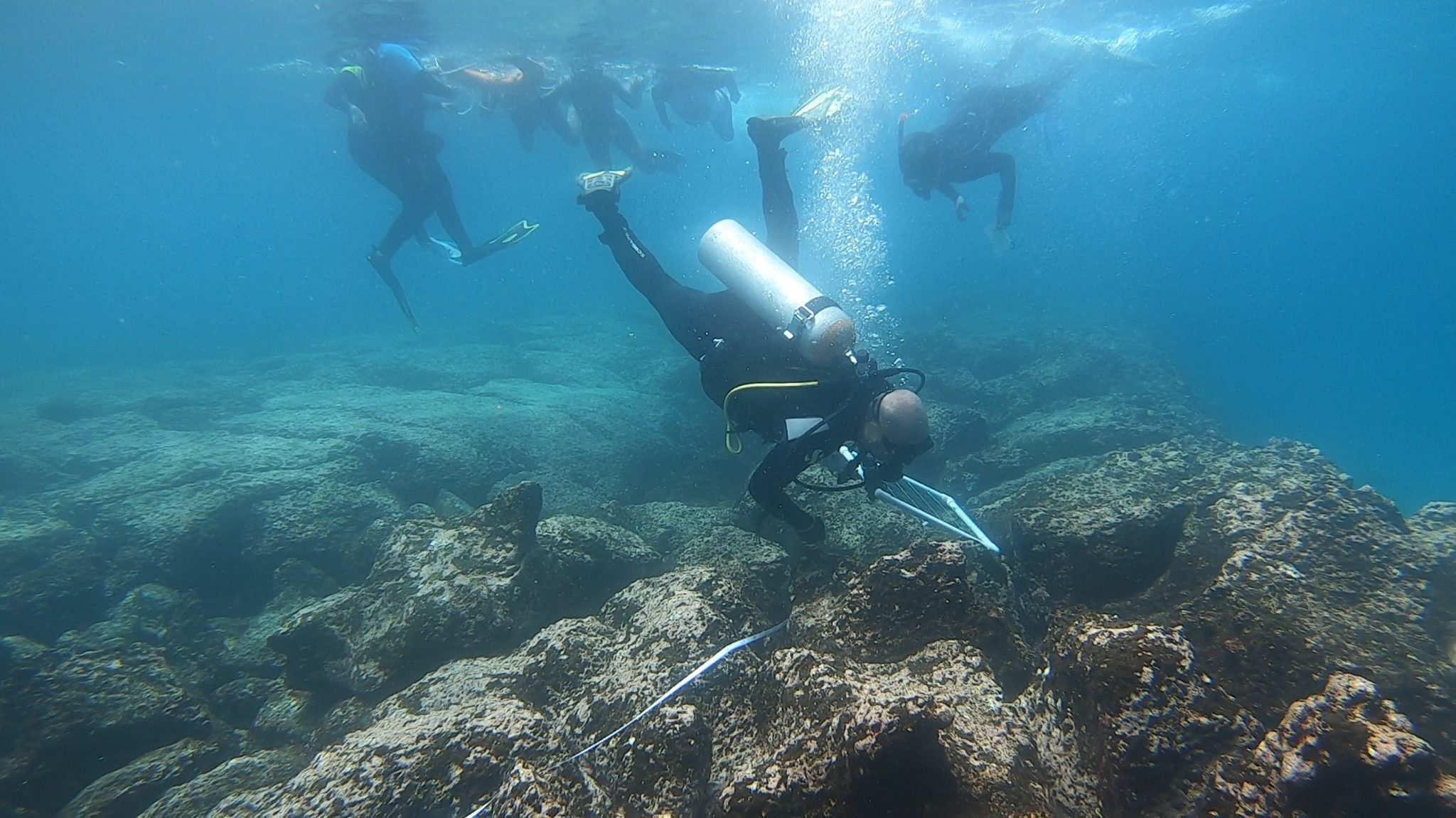 Preserving Galápagos Corals For Future Generations | Galápagos Conservancy