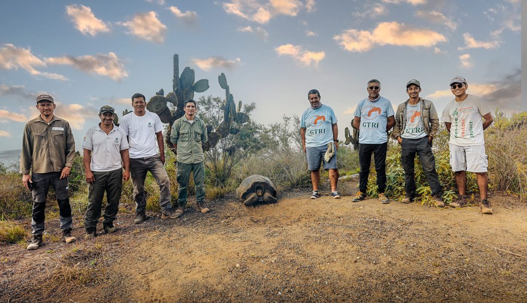 Exitosa expedición de monitoreo poblacional de iguanas rosadas, amarillas y tortugas gigantes en Volcan Wolf