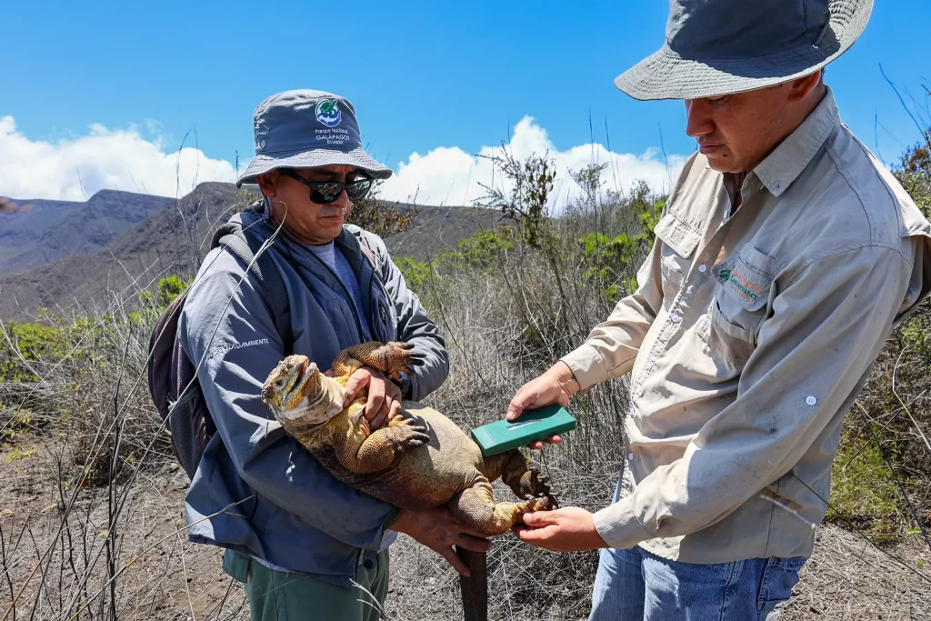Celebrando el Día Mundial del Medio Ambiente con Galápagos Conservancy