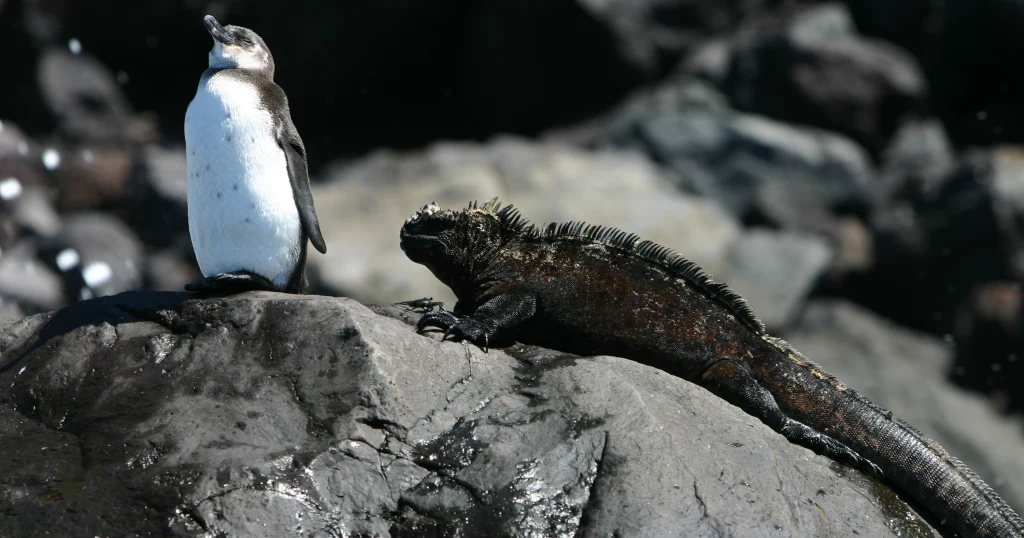 Compromiso con la Conservación de las Áreas Protegidas de Galápagos