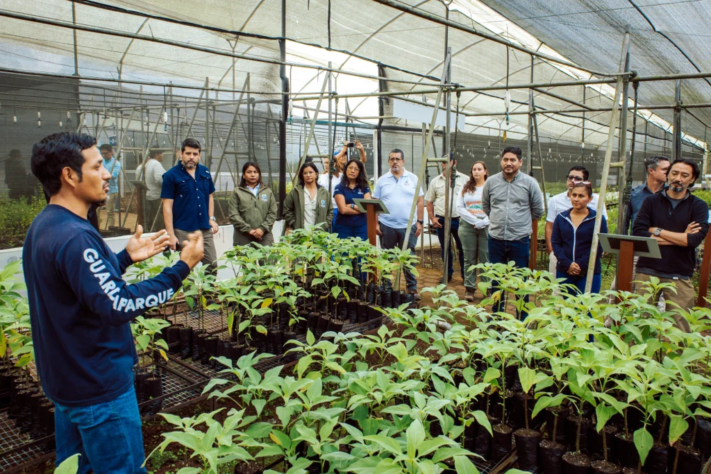 Thanks to a collaborative alliance, the Tree Nursery of Galápagos National Park has been renovated