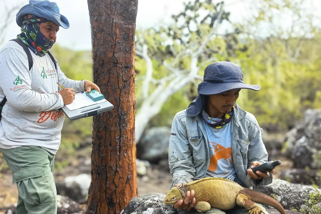 Nueva Expedición a Santa Fe