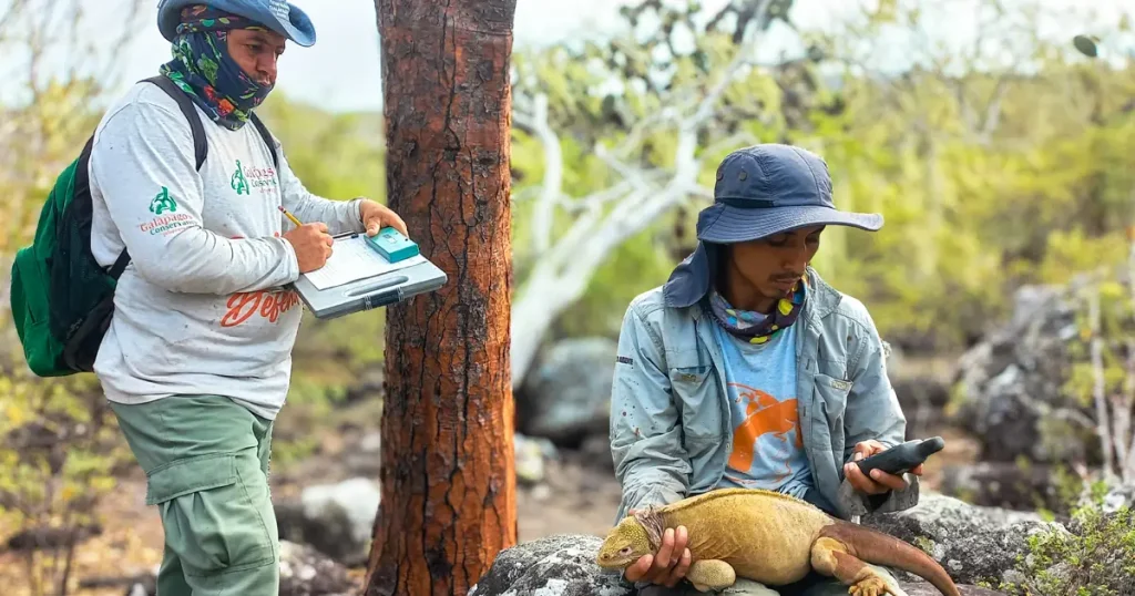 Nueva Expedición a Santa Fe