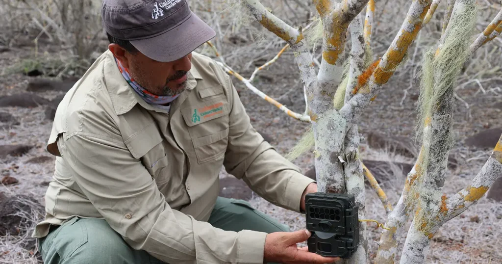 Trail Cameras: Silent Guardians of Galápagos Wildlife