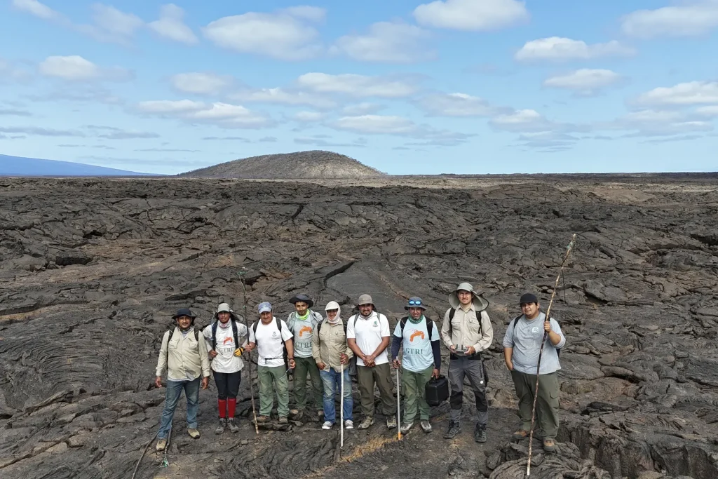 Advances in the Conservation of the Yellow Land Iguana at Cartago Bay