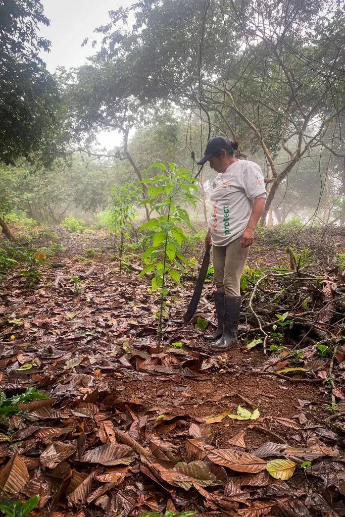 El impacto positivo de la restauración de una fuente de agua en San Cristóbal