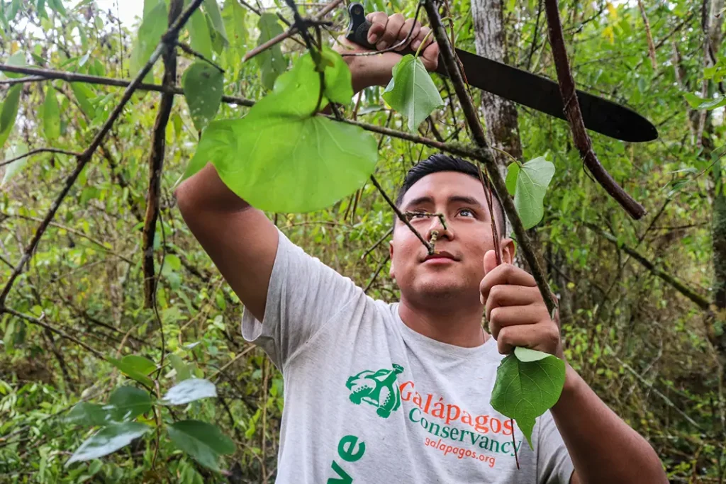 Collaboration in Conserving Isabela Island’s Wildlife