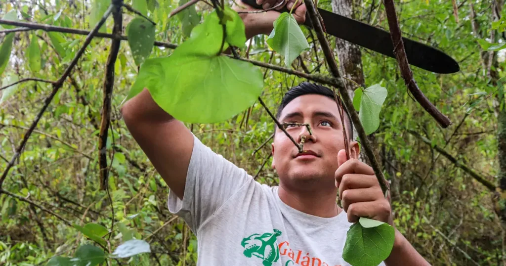 Collaboration in Conserving Isabela Island’s Wildlife