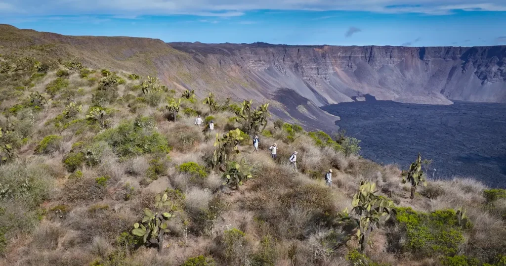 Nueva Expedición al Volcán Wolf: Protección de la Iguana Rosada