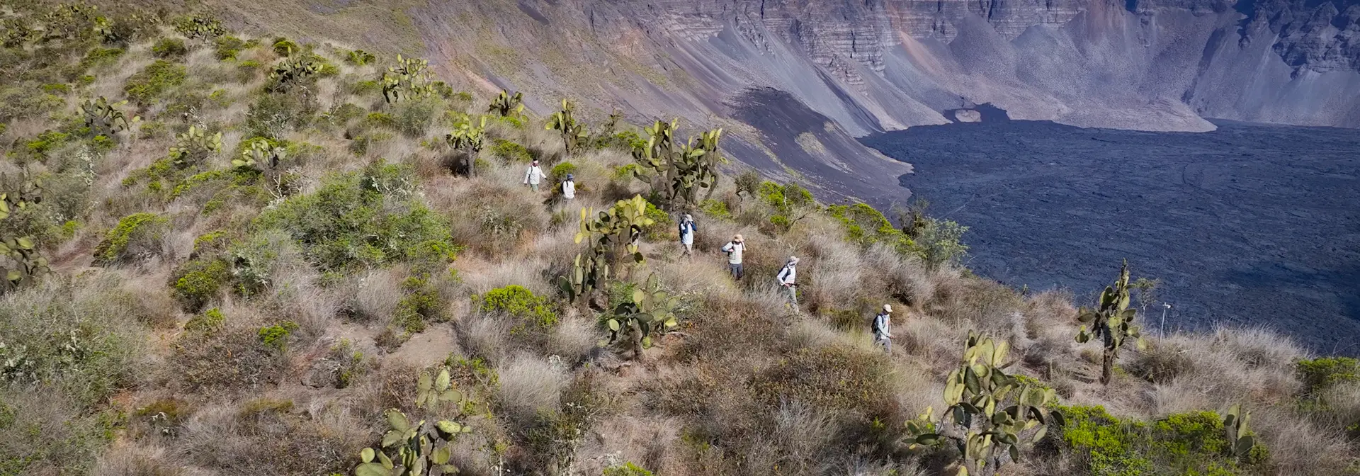 Nueva Expedición al Volcán Wolf: Protección de la Iguana Rosada