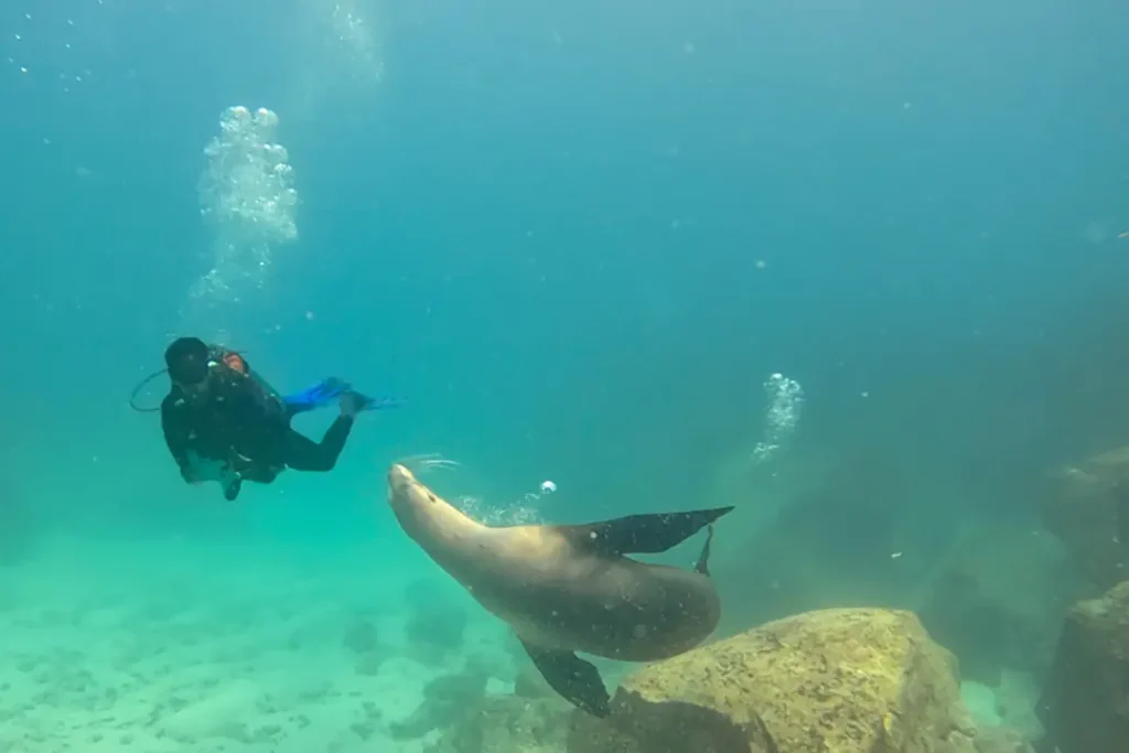 Young Scouts Protect Marine Ecosystems Galápagos