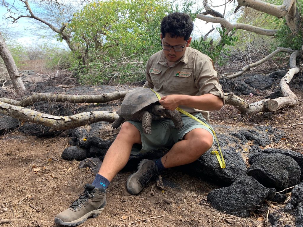 Experts at the Giant Tortoise Breeding Centers