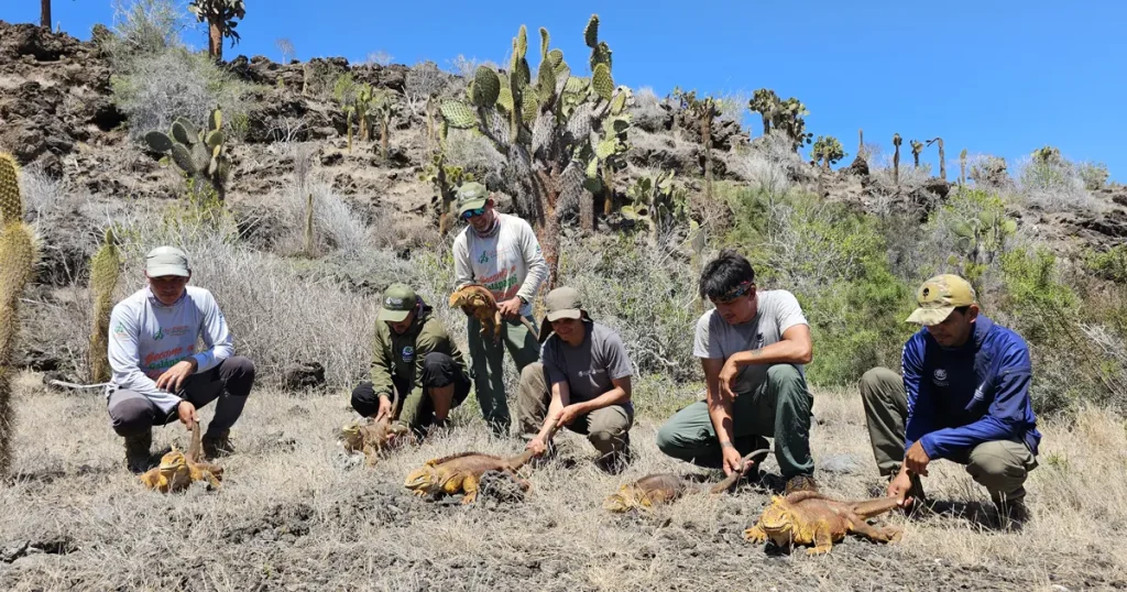 Galápagos Conservancy: Key Conservation Achievements in 2024