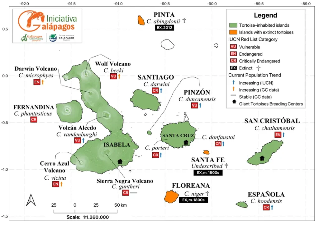 New Study Confirms the Genetic Diversity of Galápagos Giant Tortoises