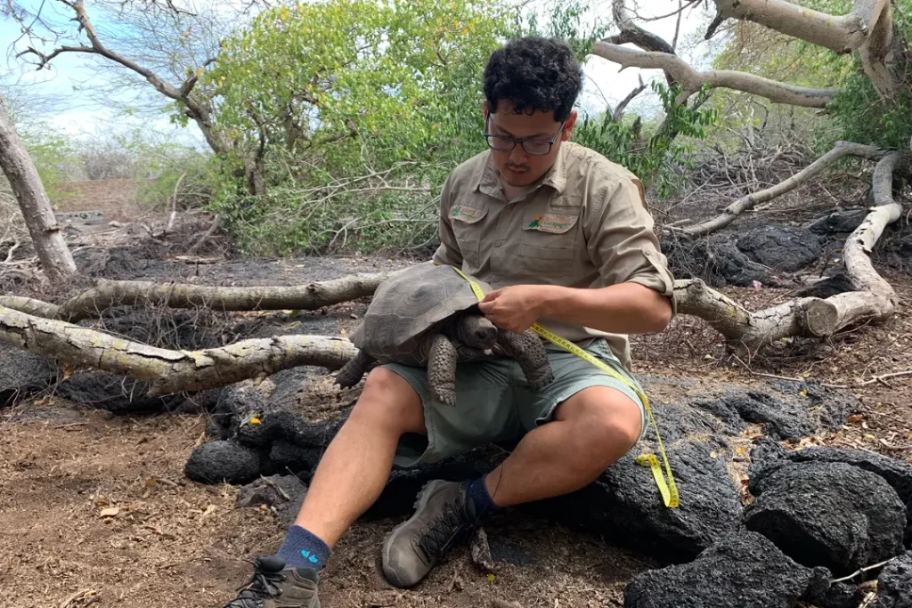 Giant Tortoise Breeding Centers in Galápagos