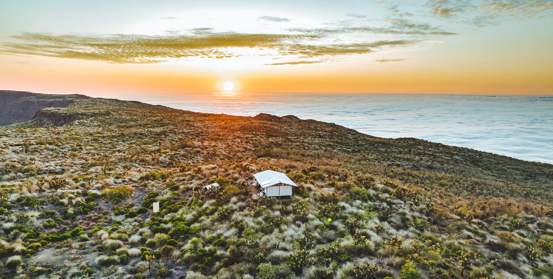 How Aerial Drones Are Transforming Research and Protection in the Galápagos