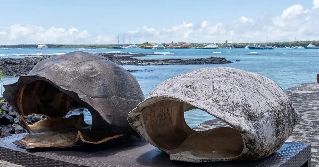 Three New Specimens Contribute to Science and Conservation in Galápagos