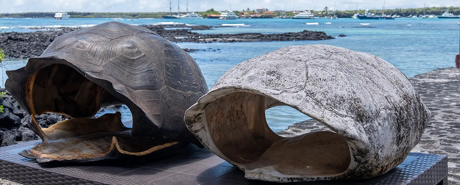 Three New Specimens Contribute to Science and Conservation in Galápagos