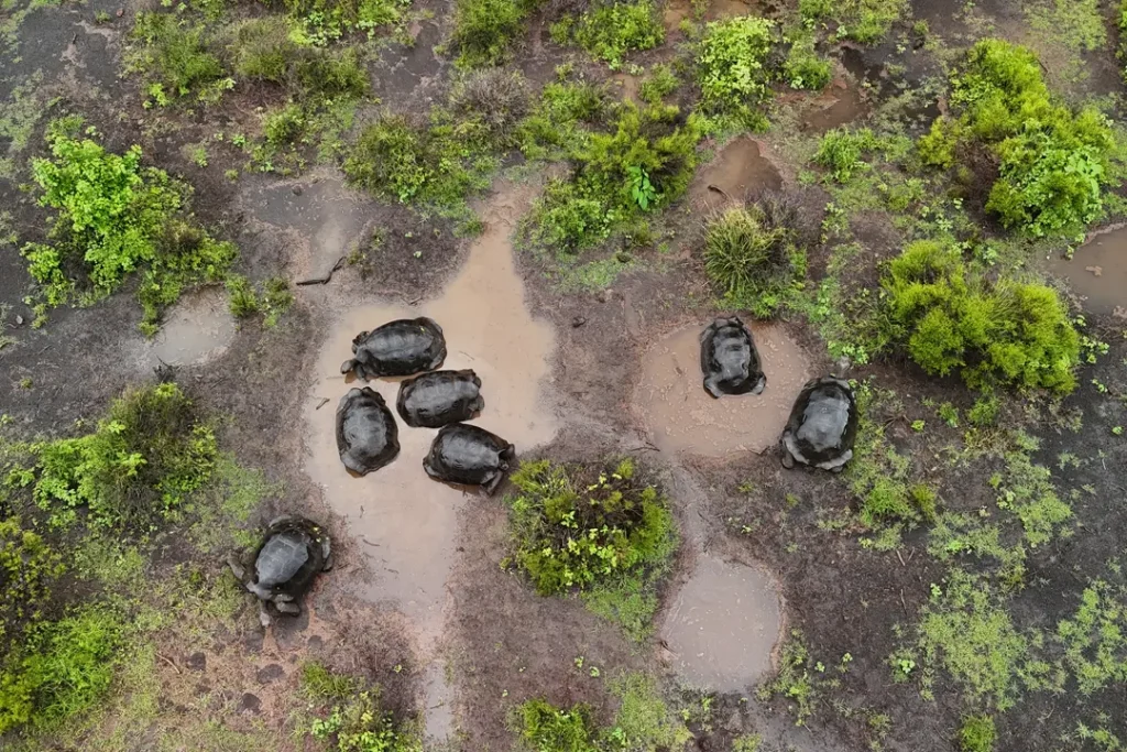 An Unexpected Discovery That Changed Galápagos Forever