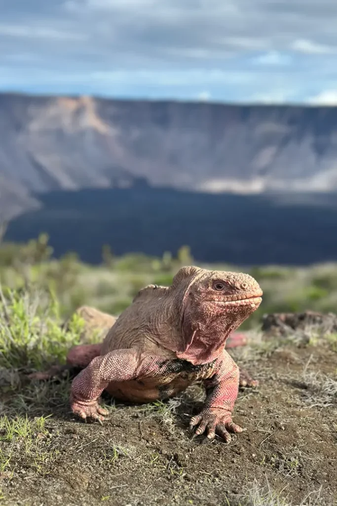 An Unexpected Discovery That Changed Galápagos Forever