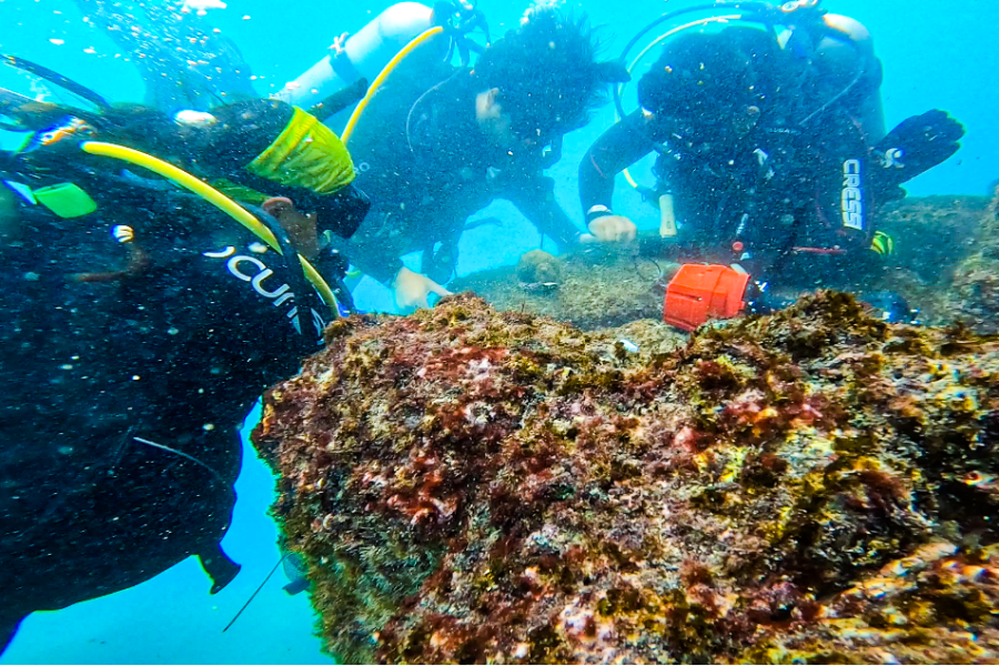 Restoring Coral Reefs | Galápagos Conservancy